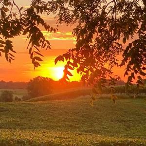 Meet your Posher, Cory